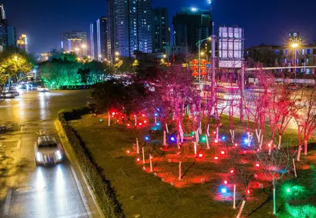 南充市政亮化蘑菇直播APP下载制作施工安装