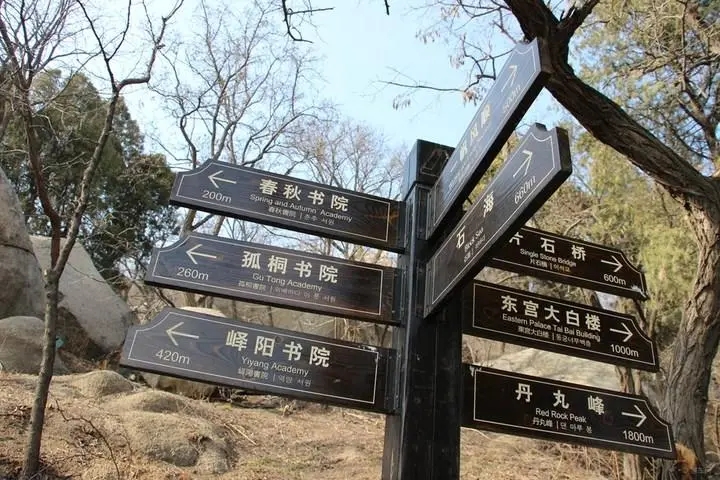 成都广告蘑菇直播APP下载标识牌广告制造的材料